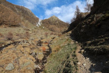 Montée dans le vallon de la Guercha.