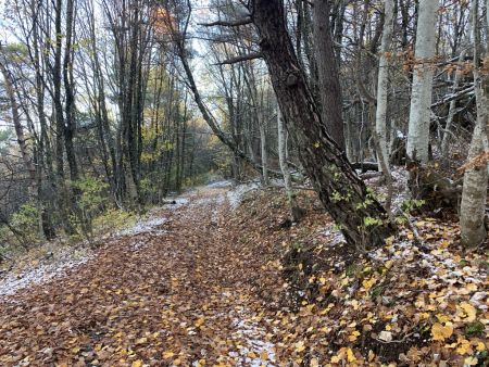 Vers le Col de Blauri.