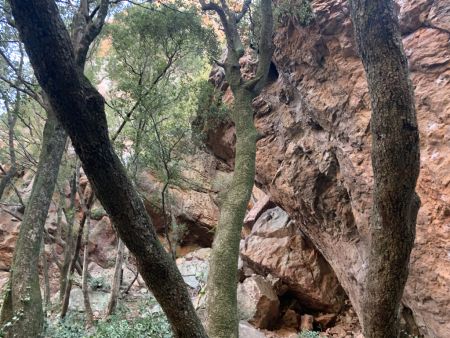 Dans les gorges.