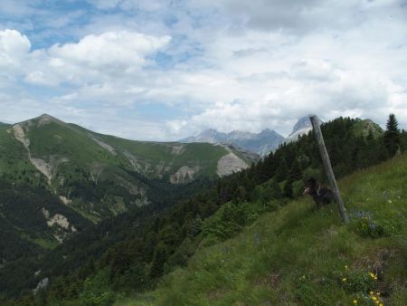 Depuis le col : montagne de Paille et pointe Feuillette