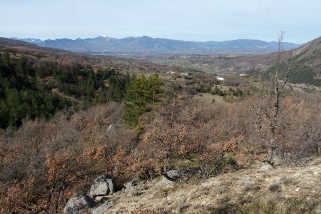 La vallée du Sasse qui rejoint celle de la Durance