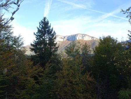 Dans le Bois du Sordet