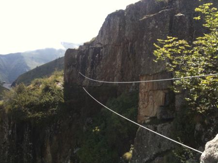 Pont de singe