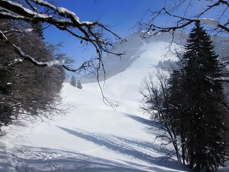 Descente vers le Col de la Ruchère.