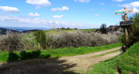 Carrefour de la cote 854m.