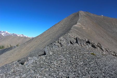 Dernière pente pour accéder au sommet