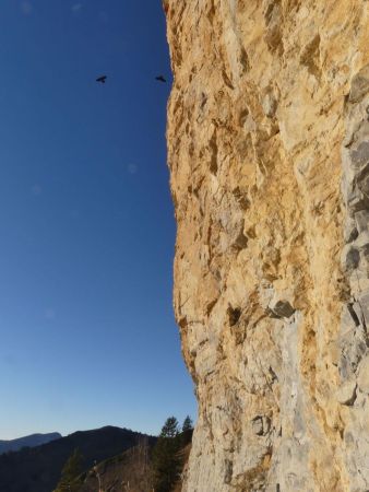 Falaise sud de la Dent de Crolles