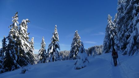 Sur la trace restée bien poudreuse.