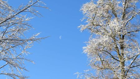 Les conditions météos sont parfaites et en bonus, la lune est de sortie.