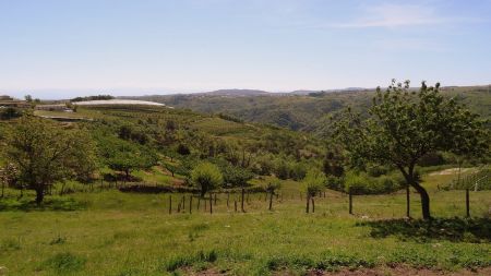 Vers la vallée du Doux.