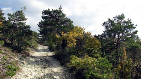 Dans le rétro.