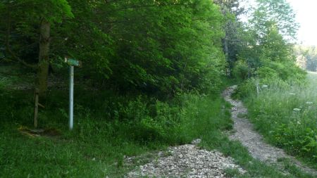 Prendre à droite le sentier montant, au niveau d’un panneau indiquant le Col Vert.