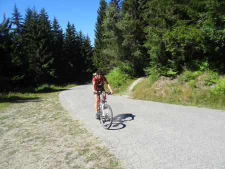 Sur la Piste Forestière des Orcerets