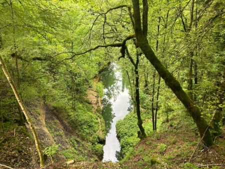 La Source de l’Ain, vue d’en haut