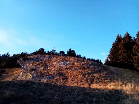 La montée finale depuis la sortie de la forêt