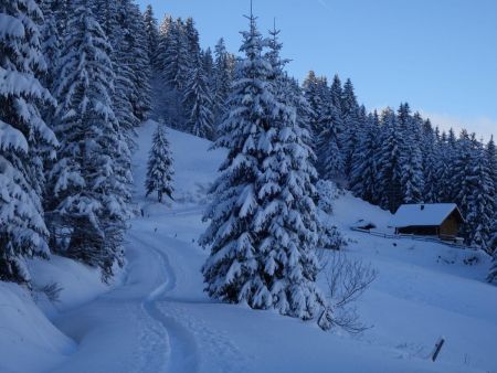 Montée dans l’ombre du décor hivernal...