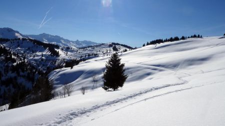 Vers le Plan Chardon, vue arrière