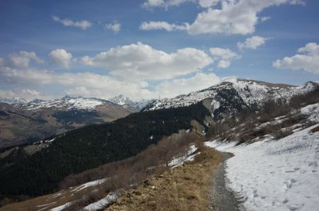 forêt de Longefrasse