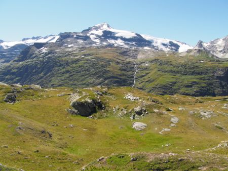 dome de chasseforet