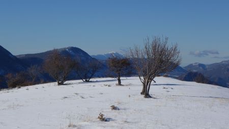 Au sommet de la montagne de Pélegrine (1355m)