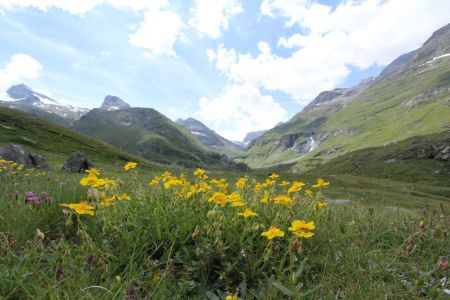 Vue du refuge