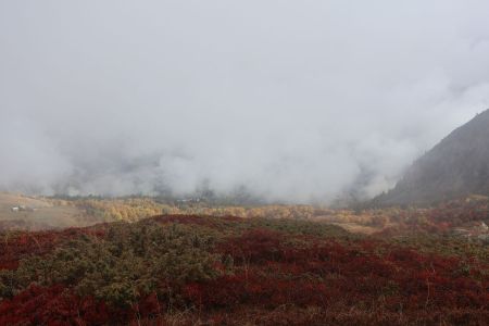 Couleurs d’automne 