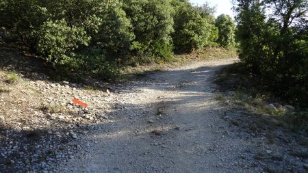 Prendre le sentier à gauche avant de traverser une ravine peu marquée.