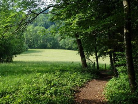 On redescend le long de belles prairies...