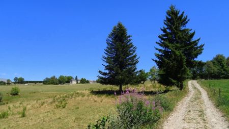 Retour à Saint-Jeures.