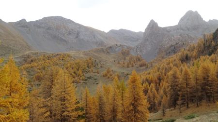 Il va falloir rejoindre le vallon.