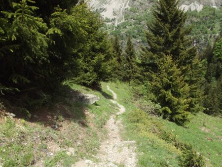 En allant vers la cascade de la Mariande