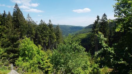 Chemin entre la Melkenhütte et la Schwarzwaldhochstraße.