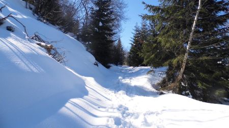 Sur le sentier