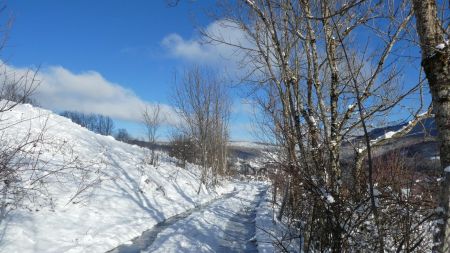 Chemin de campagne vue arrière