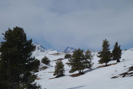 Dans la montée vue sur le Pic Gaspard et le Doigt de Dieu