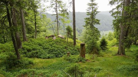 Sur le sentier du flanc est du Herzogenhorn, vue vers l’aval.