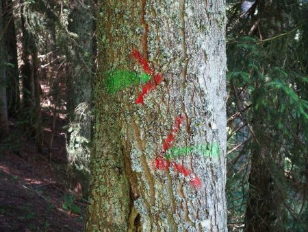 Curieux, inesthétique et inutile balisage au col du Bachais... Inspiré des anciennes flèches peintes par Marcel Pin ? 