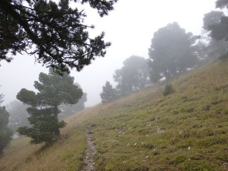 Montée dans le brouillard