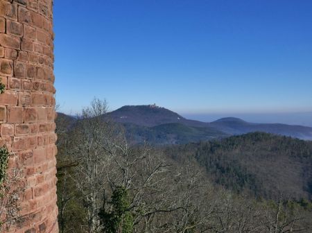 Depuis le château du Haut Ribeaupierre : vue vers le Haut Koenigsbourg