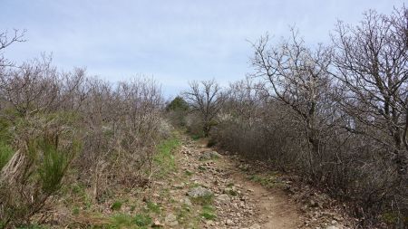 Montée vers le Mont Monnet.