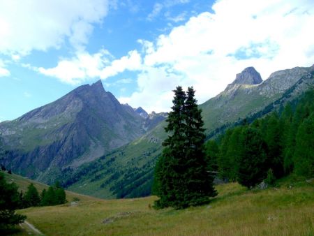 Vallon de l’Orgère