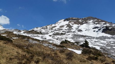 Descente, fin des lapiaz