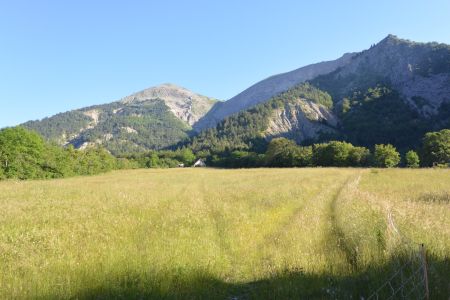 Les herbes sont hautes et trempées de rosée, et nous ferons louper le départ du GR.