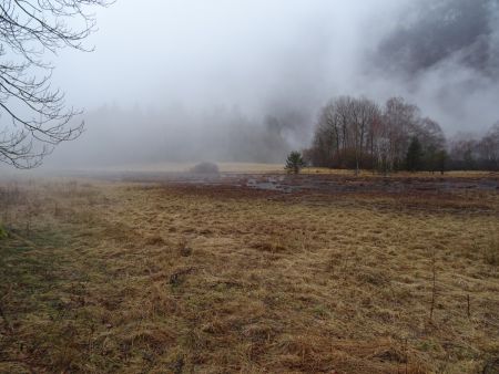 Tourbière du Peuil