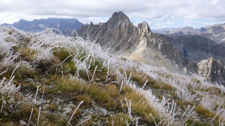 Le vent froid et humide du nord-ouest a gelé les herbes du sommet de Rissace