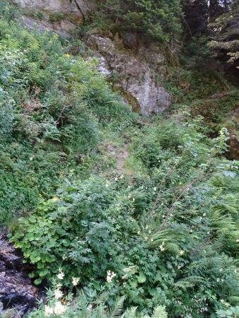 Passage câblé sur le sentier de retour après les Mouilles