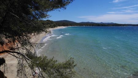 Plage de Pellegrin