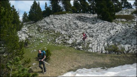 Sur le plateau au-dessus de la Grotte aux Maquisards.