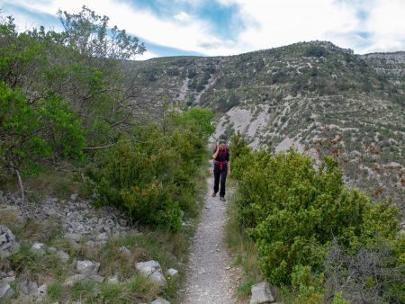 Le sentier