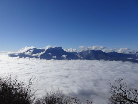 La Chartreuse émergeant de la brume